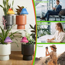 4 Pack Terracotta Watering Spikes, Vacation Self-Watering Planters Devices, Continuous Moisture with Slow Release Watering System Mushroom Shape by GreenHaven Gardens