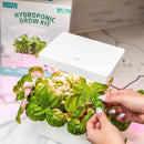 Back to the Roots Hydroponic Grow Kit, Indoor Garden with Light (Matte White), Organic Seeds Included, Gardening Gift, Everything Included by GreenHaven Gardens