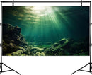 Under The Sea Aquarium Background Underwater Fish Tank Background Ocean Floor Rock Cave Sunray Terrarium Backgrounds Tropical Fish Ocean World Aquarium Reptile Tank Backgrounds 60x24in by GreenHaven Gardens