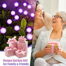 Solar Garden Lights Outdoor, Waterproof Solar Powered Lights for Yard Pathway Patio, Swaying Lawn Decor as Gardening Gifts for Women Holiday (Purple, 6 Pack 36 LED) by CozyNest Decor