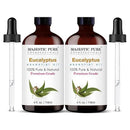 Majestic Pure Eucalyptus Essential Oil with Glass Dropper - 4 Fl Oz Pack of 2-100% Pure and Natural Eucalyptus Oil - Premium Grade Essential Oils for Diffuser, Aromatherapy, Soap and Candle Making by CozyNest Decor