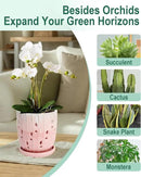 vensovo 6 Inch Ceramic Orchid Pot - Orchid Pot with Holes for Repotting, Ceramic Planter with Saucer for Indoor/Outdoor Plants, Pink by GreenHaven Gardens