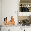 Chicken Lover Gifts Window Stickers, Cute Hens Wall Decals Peel and Stick, Funny Removable Vinyl Chicken Decoration for Farmhouse Kitchen Bedroom Door Refrigerator by CozyNest Decor