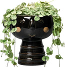 Face Planter - 7 Inch Ceramic Head Planters for Indoor Plants Outdoor, Cute Succulent Pots with Drainage Hole, Decorative Plant Pot, Home Office Room Decor, Black by GreenHaven Gardens