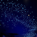 Glow in The Dark Stars Decals Decor for Ceiling 633 Pcs Realistic 3D Stickers Starry Sky Shining Decoration Perfect for Kids Bedroom Bedding Room Gifts(Blue) by TinyTreasures Baby Boutique
