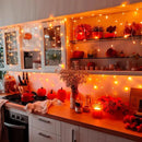 JMEXSUSS Orange Lights for Thanksgiving, 400 LED Orange Icicle Lights Outdoor, 8 Modes Orange Lights with 80 Drops Thanksgiving String Lights Plug in for Fireplace Indoor House Roof Outdoor Holiday by GreenHaven Gardens