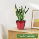 Dexceder 9x8 Inches High Gloss Self Watering Planter Indoor Outdoor, Inner Pot Design, Thickened Table Flower Plant Pot with Water Level Indicator (Red) by CozyNest Decor