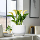 G EPGardening Ceramic Planter 9 Inch - Plant Pots with Drainage and Ceramic Saucer, Flower Pots for Indoor Plants, Modern Outdoor Planter, Living Room Decor, Gifts for Plant Lovers, White by GreenHaven Gardens