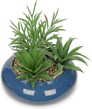 Hollyone Large Artificial Succulents Plants with Blue Vase Faux Succulents Fake Succulent Potted Plant in Ceramic Pot for Home Decor Office Desk Bathroom Living Room Indoor & Outdoor Decorations by GreenHaven Gardens