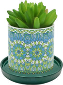 2 Pack Ceramic Plant Saucer Pot Tray 8 Inch, Planter Saucers 4 5 6 7 8 9 10 11 12 Inch for Indoors Outdoor, Durable Sturdy Flower Drainage Tray for Glazed Pots Base (8.5 Inch Green) by GreenHaven Gardens