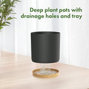 8/7/6 inch Flower Pots, 3 Pack Cylinder Plant Pots for Outdoor Indoor Plants, Decorative Plastic Planters with Drainage Holes and Saucers for Garden House Plants, Black with Brown by GreenHaven Gardens