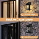 Dusk to Dawn Outdoor Wall Lantern, Exterior Wall Sconce Fixture with Tempered Clear Seeded Glass, Matte Black Finish for Outdoors (Large Wall Mount) by GreenHaven Gardens