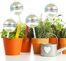 13 oz Up 2 Weeks Large Plant Watering Globes - Self Watering Bulbs for Indoor & Outdoor Plants, Glass Water Globes, Slow Watering for Plants While Away, Self Watering Planter Insert 4 Pack by GreenHaven Gardens