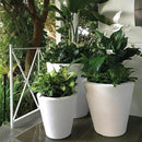 Crescent Garden Dot TruDrop Indoor/Outdoor Planter, Self-Watering Plant Pot, 20 Inches, (Ash) by GreenHaven Gardens