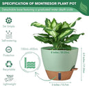 montresor 2 Pack 8 inch Plant Pots, PP Plastic Self Watering Plant Pot with Drainage and Tray for Indoor Outdoor Plants, Water Level Window & Reservoir Flower Pots Decorative Planter (Green) by CozyNest Decor