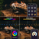 SLR102 LED RGBW Smart Bistro Acrylic String Lights Color Changing Outdoor Weatherproof 12V Edison Bulbs by Kings Outdoor Lighting