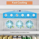 Tylza Commercial Refrigerator with Glass Door Display Beverage Fridge, 14.8 Cu Ft Upright Beverage Cooler Merchandiser with Rebound Door, Low Noise, Fast Cooling, White by CozyNest Decor