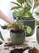 LE TAUCI Fluted Ceramic Planters Set of 3 – 8.3/7 / 5.7 in Dark Olive Reactive Cylinder Indoor Plant Pots with Drainage Plug & Mesh, Glossy Stoneware Flower Pots for Succulents Herbs by CozyNest Decor
