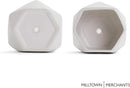 Milltown Merchants Succulent Wall Planters - White Ceramic Mounted Planters - Succulent Pots - Hanging Vases for Living Wall (1 Pack/Geometric/White) by GreenHaven Gardens