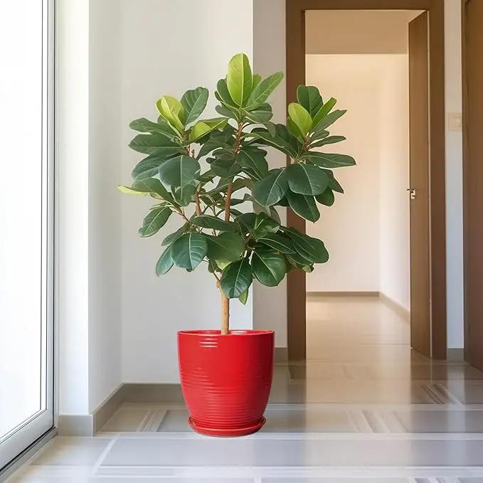 Ceramic Pot for Plants 12 Inch - Plant Pot Indoor with Drainage Hole and Saucer Round Large Planter for Outdoor Plants Mid Century Modern Flower Pot for Home Decor Red, photo 2 of 7