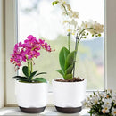 QCQHDU 2 Pack Orchid Pots with Holes for Repotting, Double-Layer and Self Watering Orchid Pot with Good Air Circulation by GreenHaven Gardens