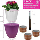 GARDENIX DECOR Self Watering Pots for Indoor Plants 3 Pack - Flower Pot with Water Level Indicator for Plants, Grow Tracking Tool - Self Watering Planter Plant Pot - Coco Coir - Purple by GreenHaven Gardens