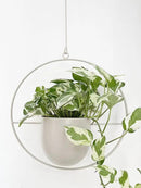 Boho White Metal Plant Hanger,Metal Wall and Ceiling Hanging Planter, Modern Planter, Mid Century Flower Pot Plant Holder, Minimalist Planter for Indoor Outdoor Home Decor… by GreenHaven Gardens