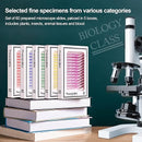Prepared Plastic Microscope Slides with Specimens for Kids, Microscope Sample Slides Full Range of Animal/Plant/Insect/Blood Biology Slides Gift Set for Kids Microscope (60PCS) by TinyTreasures Baby Boutique