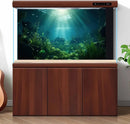 Underwater Fish Tank Background Under The Sea Aquarium Background Ocean Floor Aquatic Plants Fish Tank Backgrounds Deep Sea Sunray Tropical Aquarium Fish Reptile Tank Backgrounds 72x24in by GreenHaven Gardens