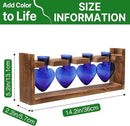 Plant Propagation Stations Heart Plant Terrarium Kit Gift for Women Plant Lover Glass Vases by GreenHaven Gardens