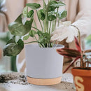 QCQHDU 6.5 inch Plant Pot, 2 Pack Planters for Indoor Plants with Drainage Holes & Saucer, Outdoor Flower Pots Home Garden Modern Decor by GreenHaven Gardens