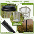 XMCOSY+ Solar Lights Outdoor Waterproof, 20 LM Solar Powered Garden Lights with 2-Tone Black & Grey Metal Design, Solar Pathway Lights for Yard Patio Landscape Walkway Driveway (Black & Grey) by GreenHaven Gardens