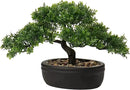 Artificial Bonsai Tree Juniper Faux Plants Indoor Small Fake Plants Decor with Ceramic Pots for Home Table Office Desk Bathroom Shelf Bedroom Living Room Farmhouse Decorations by GreenHaven Gardens