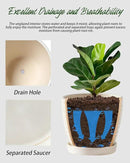 Plant Pots, Flower Pots, Planters for Indoor Plants(6.5+5.5inch), Flower Pots for Indoor Plants with Drainage Hole and Saucer, Ceramic Pots for Plants with Hole Mesh Pad,Reactive Glaze White by GreenHaven Gardens