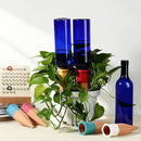6 Sets Plant Watering Devices Include Terracotta Self Watering Spikes and 26 oz Plastic Bottles, Slow Release Vacation Insert Automatic Plant Waterer Device (Blue and Mixed Color) by GreenHaven Gardens