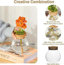 Plant Propagation Station,Hydroponic Terrarium Vase,Desktop Glass Planter Station,for Houses,Garden Decorations,ropagating Hydroponic Plants,Centerpiece Office,Home Garden Decor (9) by GreenHaven Gardens