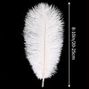 THARAHT White Ostrich Feathers 24pcs Natural Bulk 8-10Inch 20cm-25cm for Crafts Wedding Party Centerpieces Christmas Tree Decoration Feathers by CozyNest Decor