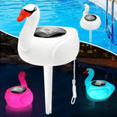 KingSom Digital Pool Thermometer,Solar Pool Thermometer Floating Easy Read with Color Changing Swan Light,Floating Pool Thermometer with Large LCD Screen and String,Pond Water Temperature Thermometer by GreenHaven Gardens