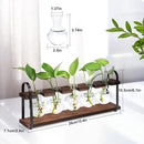 THYGIFTREE Plant Propagation Stations with Wooden Stand, Desktop Retro Plant Terrarium Bulb Vase for Indoor Hydroponic Flowers, Tabletop Glass Planter Housewarming Gifts for Plant Lovers by GreenHaven Gardens