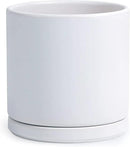 D'vine Dev 10 Inch Ceramic Planter Pot with Drainage Hole and Saucer, Indoor Cylinder Round Planter Pot, White, 94-O-E-1 by GreenHaven Gardens