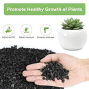 5 lbs Pebbles for Indoor Plants, Succulent, Cactus, 1/5 Inch Small Lava Rock for Plants Drainage, Natural Horticultural Volcanic Rock, Top-Dressing by CozyNest Decor