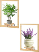 yadoker Wall Planters for Indoor Plants,Bamboo Hanging Plant Holders, Wall Decor Plant Stand, 2-Pack Window Plant Shelves for Living Room & Entryway by GreenHaven Gardens