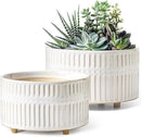 LE TAUCI Succulent Pots, 6.5+8 Inch Ceramic Indoor Plant Pot with Drainage Hole, Modern Round Decorative Flower Pot, Set of 2, Reactive Glaze White by GreenHaven Gardens
