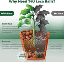 T4U Leca Clay Pebbles for Plants, 4 LBS 10-20 mm Clay Balls for Indoor Plants, Natural Clay Pebbles for Orchid Potting Mix, Hydroponic, Leca Pots, Plant Drainage, Garden Soil by GreenHaven Gardens