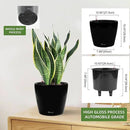 Dexceder 11x10 Inches High Gloss Self Watering Planter Indoor Outdoor, Inner Pot Design, Thickened Table Flower Plant Pot with Water Level Indicator (Black) by GreenHaven Gardens