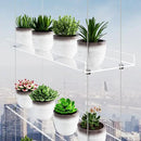 4-TierClear Plant Shelves, Height Adjustable Hanging Acrylic Indoor Wall Hanging Plant Stand Flower Display, Flower Pot Organizer Storage for Window Grow Herbs, Microgreens, Succulents, 16 Inch by GreenHaven Gardens