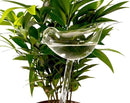 Glass Plant Watering Globes, Self Watering Globes Bird Shape, Self Watering Planter Insert, Plant Watering Devices, Automatic Plant Waterer Indoor, Watering Bulbs, 2 Pack by GreenHaven Gardens