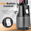 Cold Press Juicer,Slow Masticating Juicer Machines with 5.3" Large Feed Chute for Most Fruits and Vegetables,Easy to Clean Lemon Orange juicer with 250W Motor and High Juice Yield,Metal Gray by CozyNest Decor