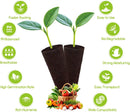 Hydroponic Grow Sponges Replacement Root Growth Seed Starter Pods for Indoor Garden Systems, Fit for Aerogarden and More, 50 Pack by GreenHaven Gardens