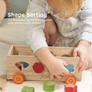 Shape Sorter - Wooden Pound A Ball and Montessori Number Puzzle Set for Babies - Educational Sorting Game with Storage Car for Toddlers by TinyTreasures Baby Boutique